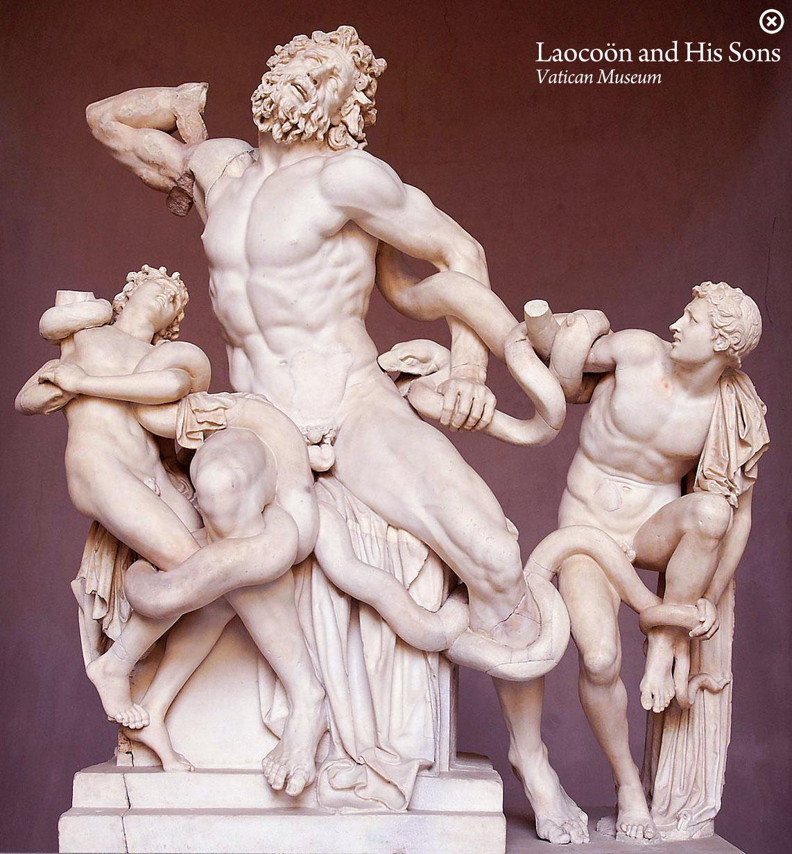 Laocoön and His Sons in the Vatican