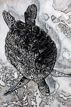 Aphrodite Rising by T.Mallon - Charcoal and Chalk - Swimming Turtle