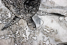 Aphrodite Rising by T.Mallon - Charcoal and Chalk - Swimming Turtle (detail)