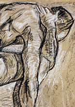 Man with Bent Knew - Detail of Arms, Shoulder and Head