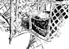 Tom Mallon: Ink Drawing of Wicker Furniture, Ink Pen on Paper, Detail of Chair