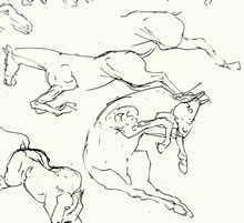 Horse Studies by T.Mallon - Ballpoint Pen on Paper - Leaping