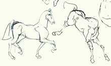 Horse Studies by T.Mallon - Ballpoint Pen on Paper - Profile and Leaping