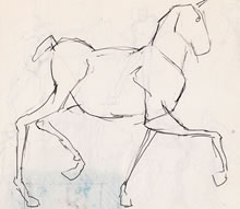 Tom Mallon: Horse Profiles, Ballpen on Paper, Smaller Horse Study