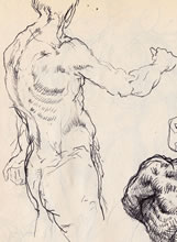 Tom Mallon: Figure Studies - Ballpen on Paper, Side with Arm Extended