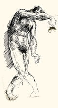Anatomy Sketches by T.Mallon, Ballpoint on Paper - Figure 1