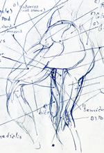 Leg Anatomy by T.Mallon - Ballpoint on Paper - Buttocks and Thigh