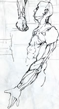 Torso/Arm Anatomy by T.Mallon, Ballpen on Paper - Left Lateral