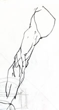 Torso/Arm Anatomy by T.Mallon, Ballpen on Paper - Right Arm (3) 
