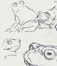 Frog Sketches by T.Mallon, Ballpoint on Paper - Seated