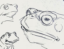 Frog Sketches by T.Mallon, Ballpoint on Paper - Portrait 2