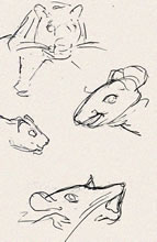 Mouse Sketches by T.Mallon, Ballpoint on Paper - Portraits