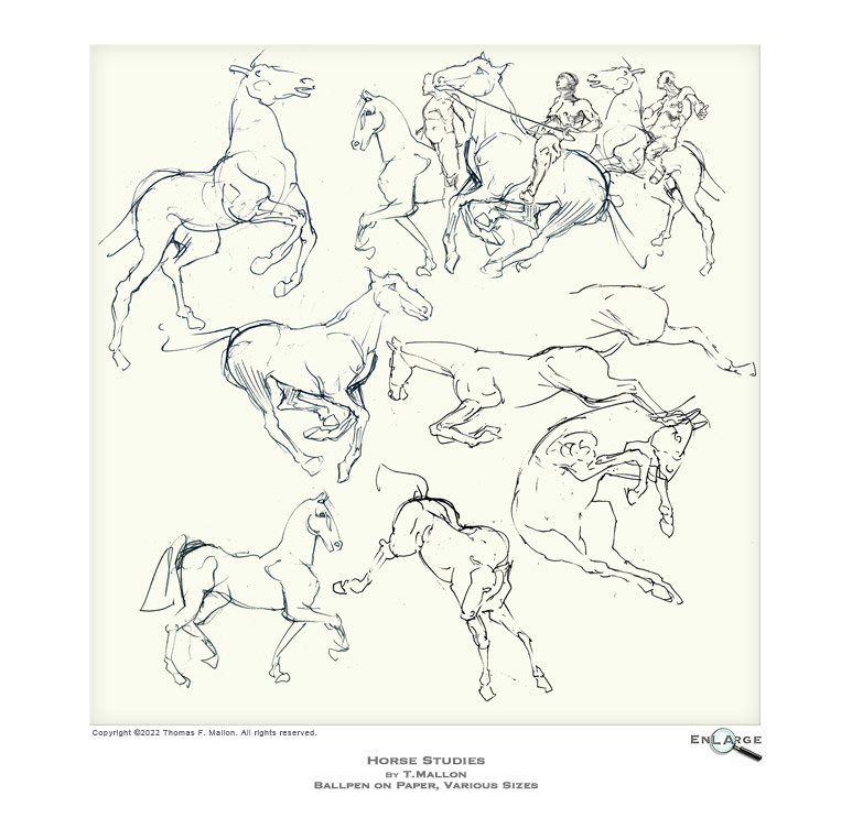 Tom Mallon's Horse Studies, Ballpen on Paper
