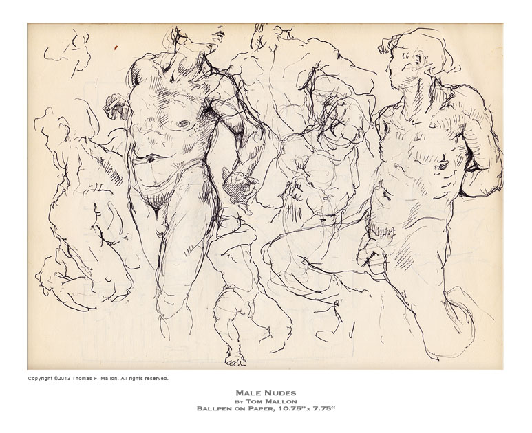 Tom Mallon: Male Nudes, Ballpoint on Paper