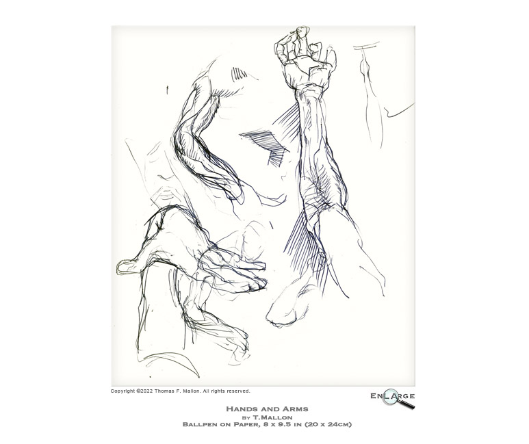 Hands and Arms by T.Mallon - Ballpoint on Paper