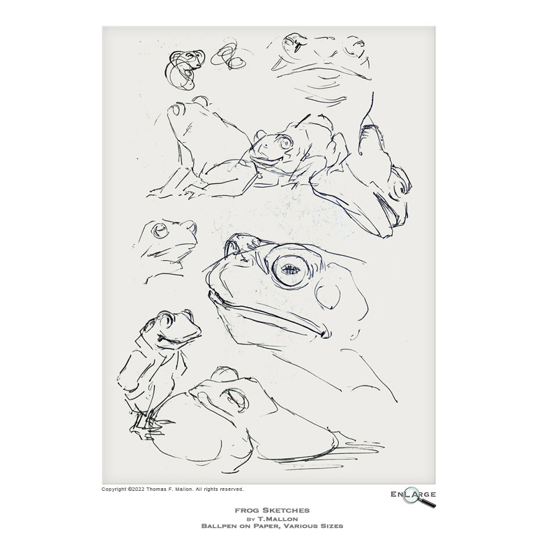 Frogs by T.Mallon - Ballpoint on Paper