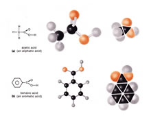 Chemistry and Molecular Studies by Tom Mallon - Ink on Mylar - Carbon Compounds