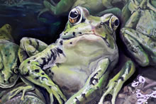 The River of Woe by T.Mallon - Bank of Frogs (detail 2)