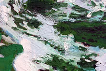 The Sea Erupts with Live (detail)
