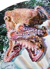 Aphrodite Rising by T.Mallon - Octopus (detail)