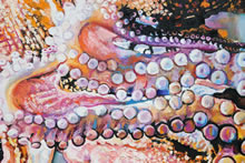 Aphrodite Rising by T.Mallon - Octopus (detail 3)