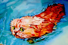 Fish Out of Water by T. Mallon - Cat In Water
