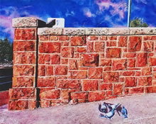 Santuario de Guadalupe by Tom Mallon, Oil on Canvas - 42 x 22 inches - Wall with Pigeons